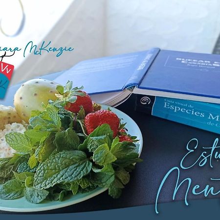 Estudio Menta Tacoronte Zewnętrze zdjęcie